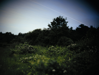 04-267-fireflies162