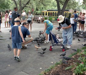 Texas